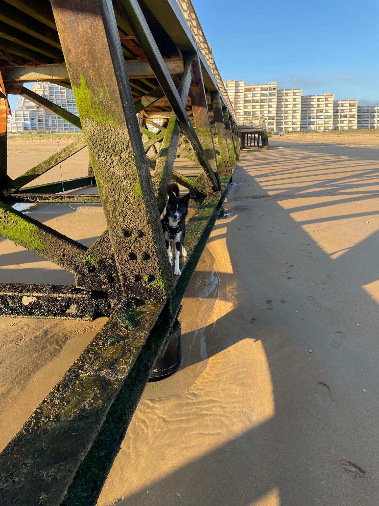 The Spot - 200M De La Plage Saint-Hilaire-de-Riez Exterior photo